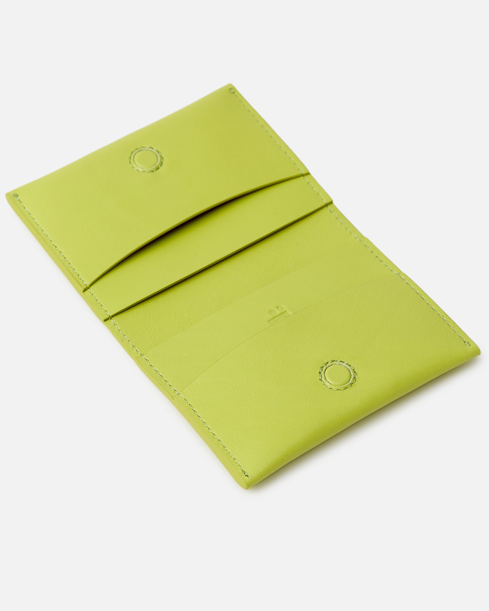 CREDIT CARD CASE ANIS