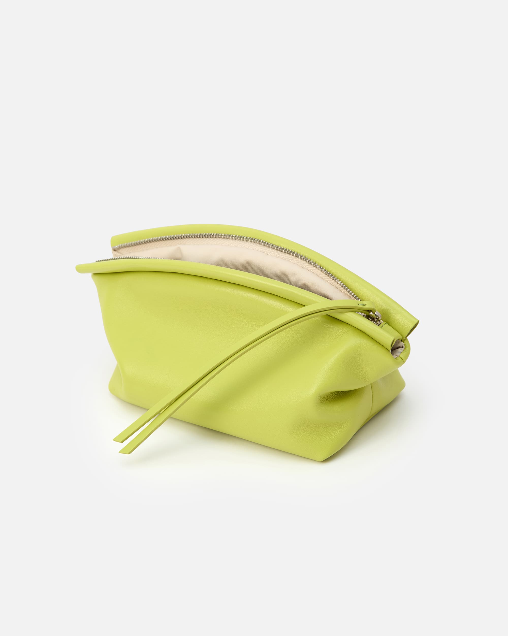 CURVE BEAUTY CASE ANIS