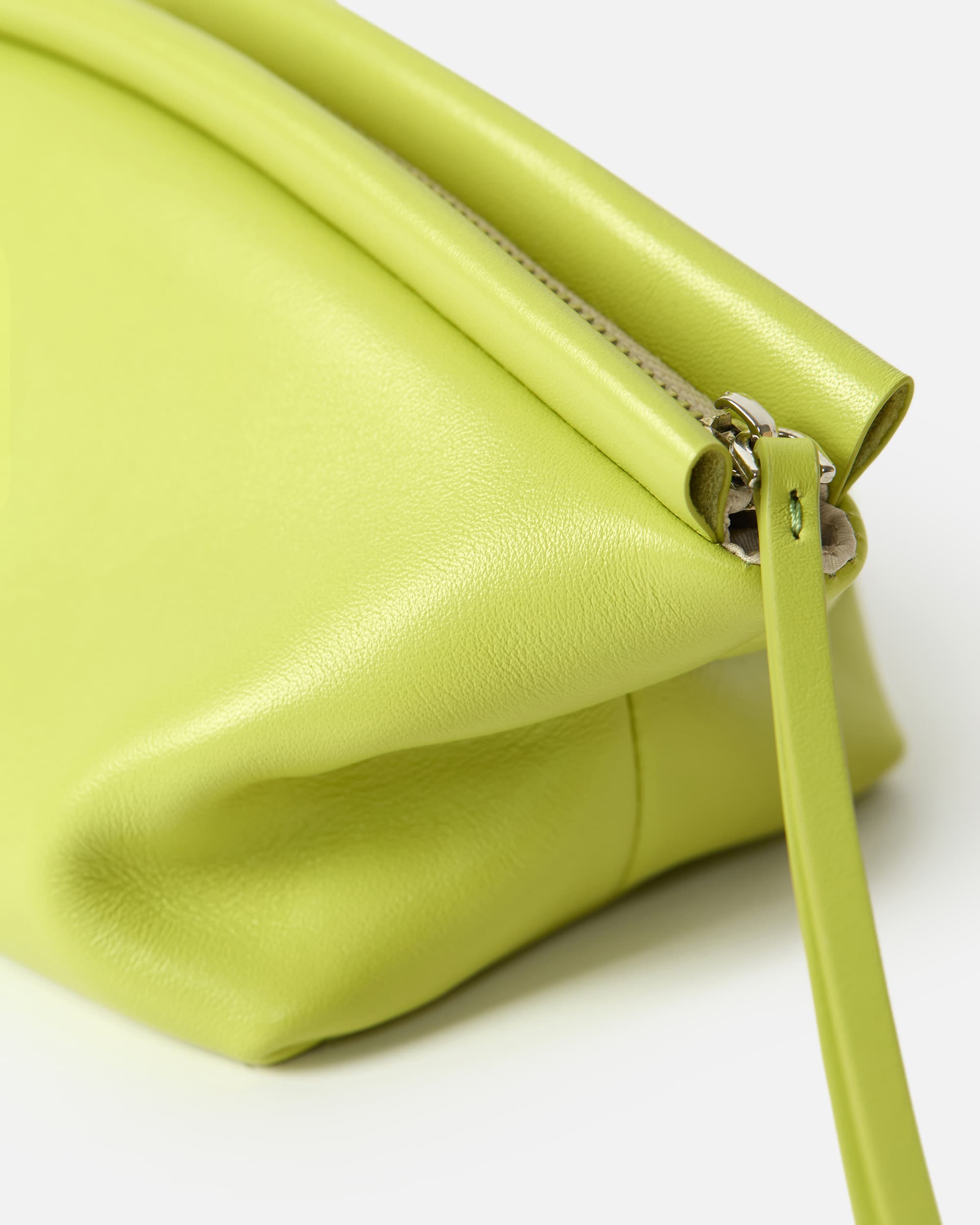 CURVE BEAUTY CASE ANIS