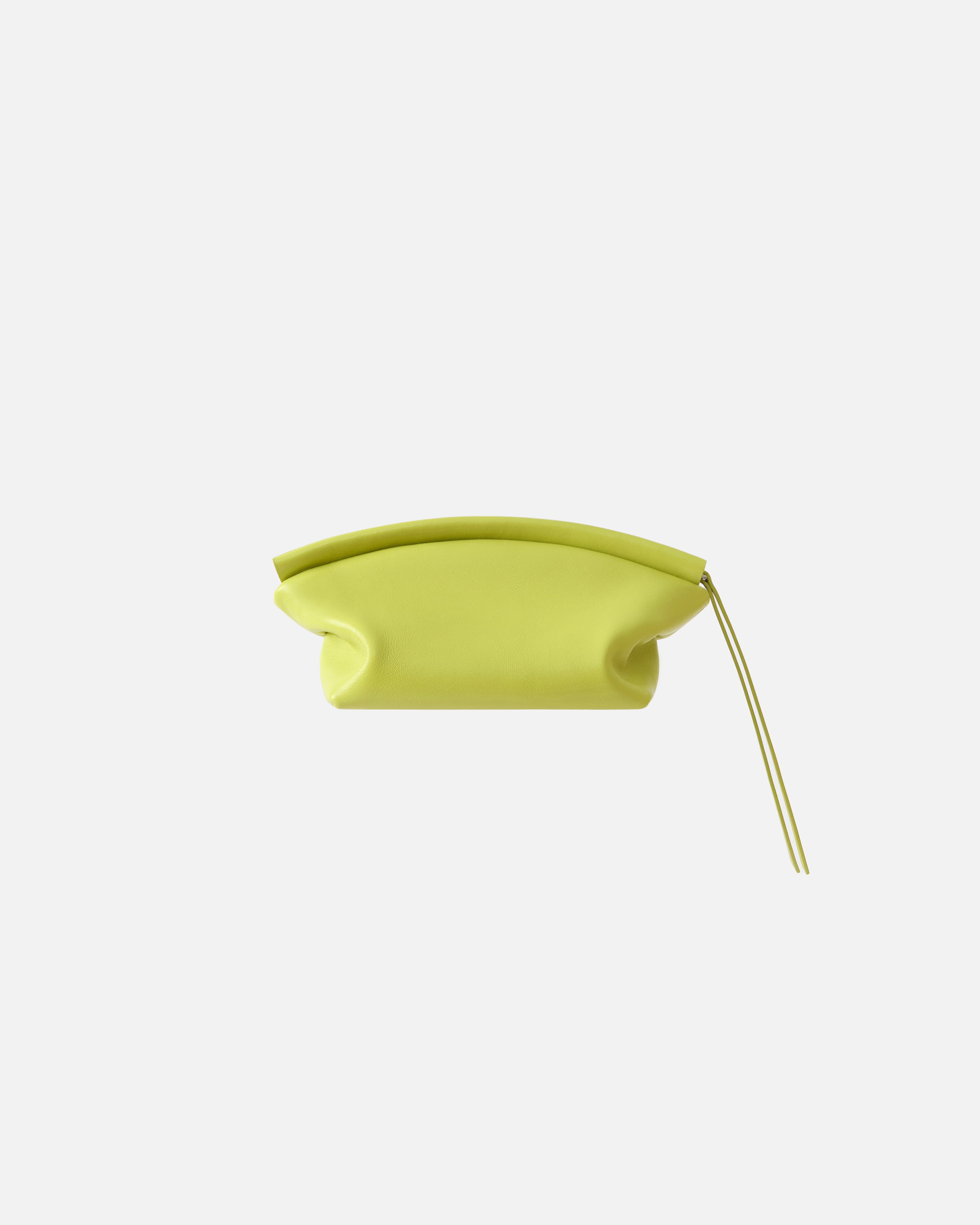 CURVE BEAUTY CASE ANIS