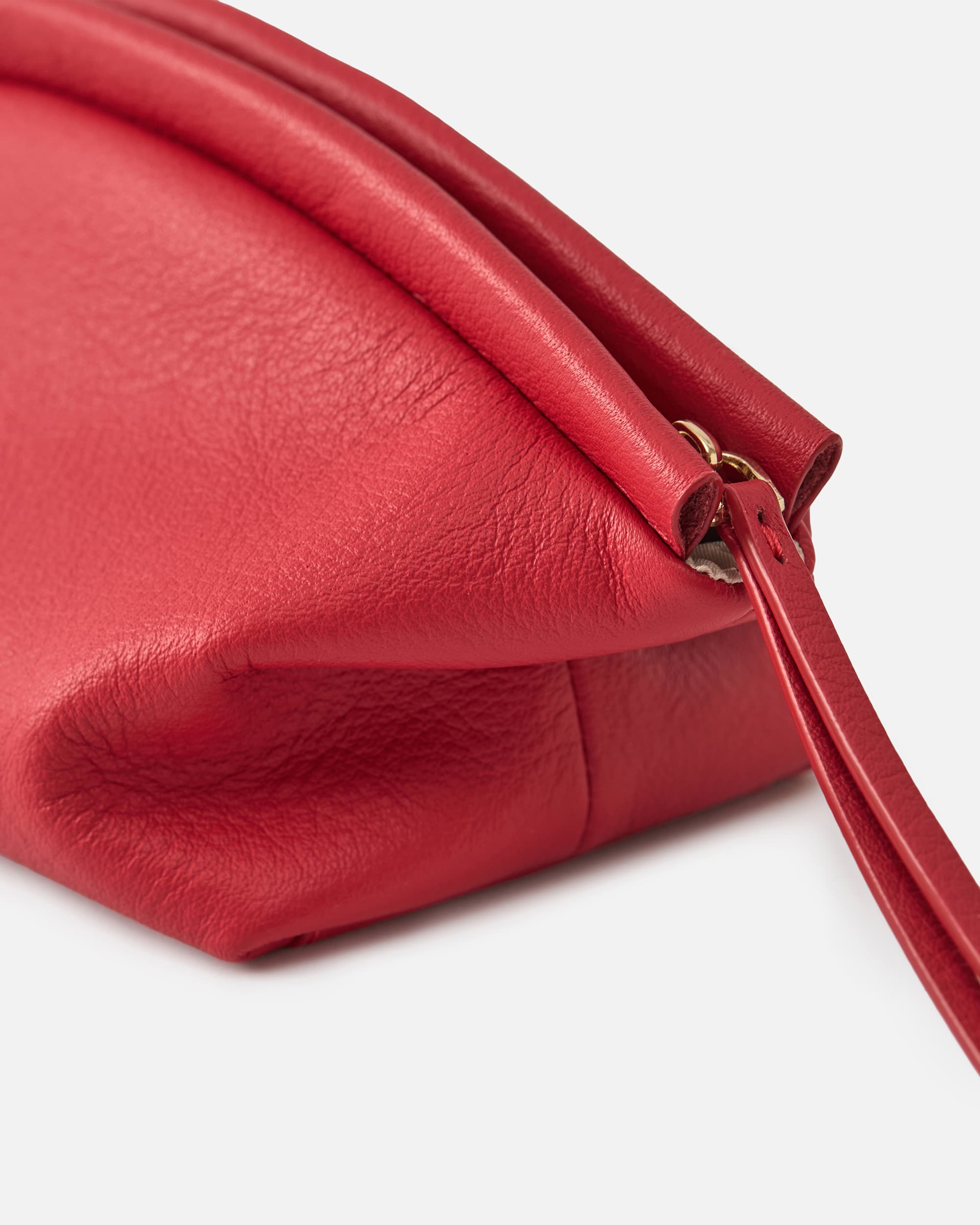 CURVE BEAUTY CASE NOEL