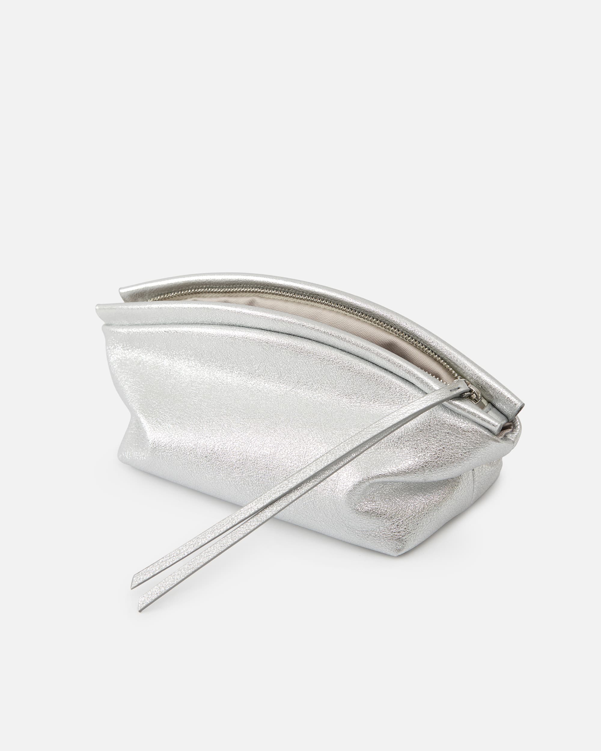 CURVE BEAUTY CASE SILVER