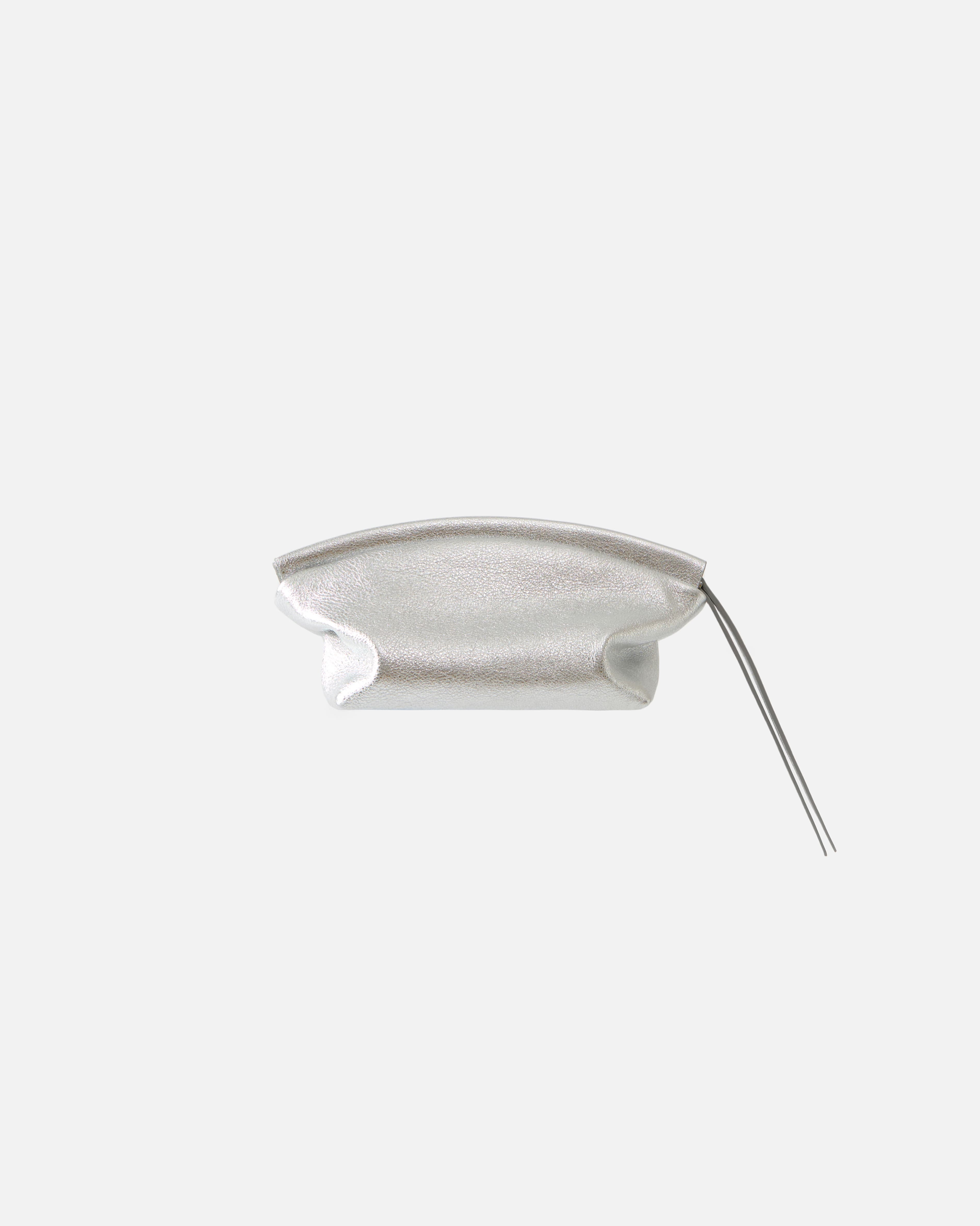 CURVE BEAUTY CASE SILVER