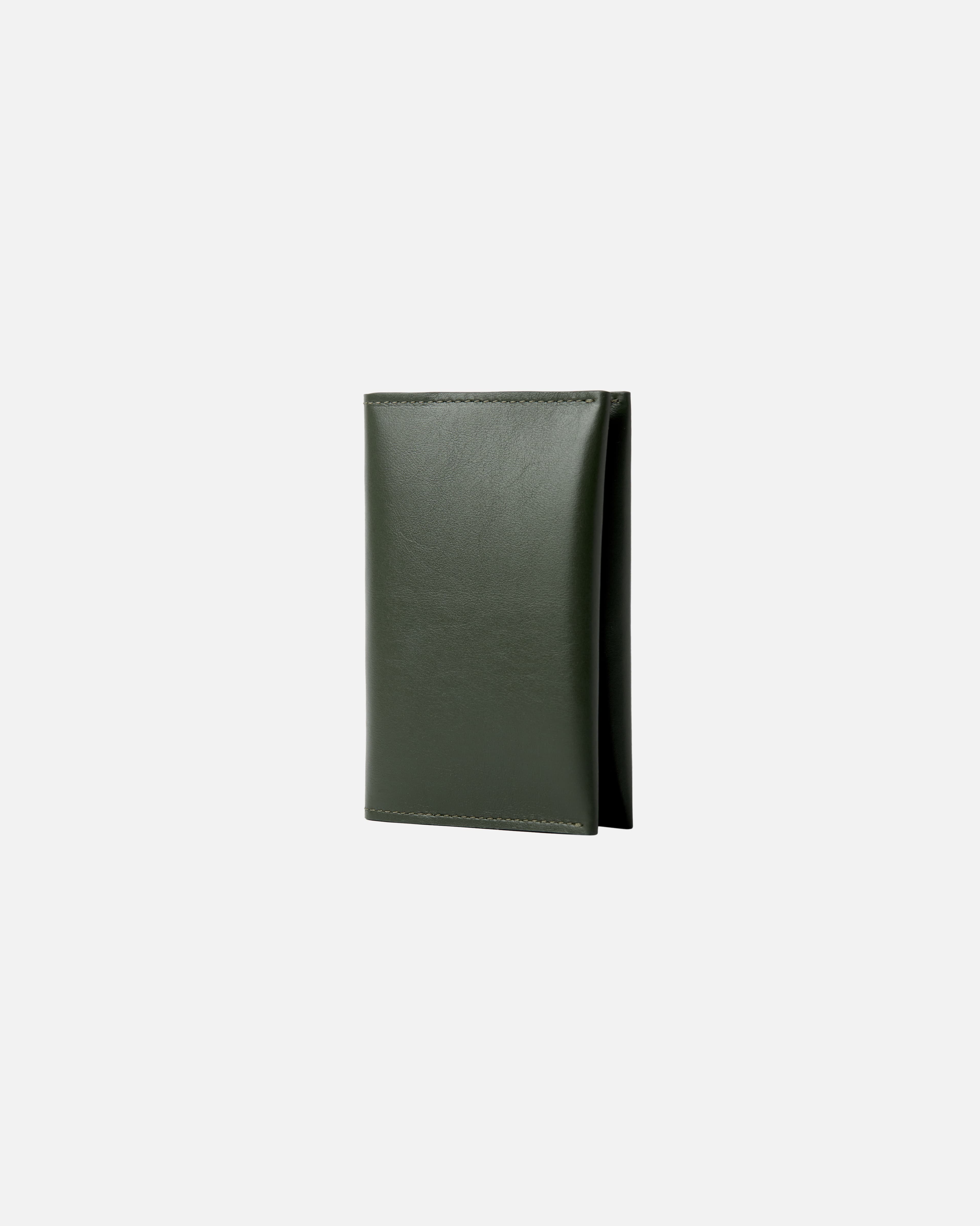 PASSPORT CASE BIRCH