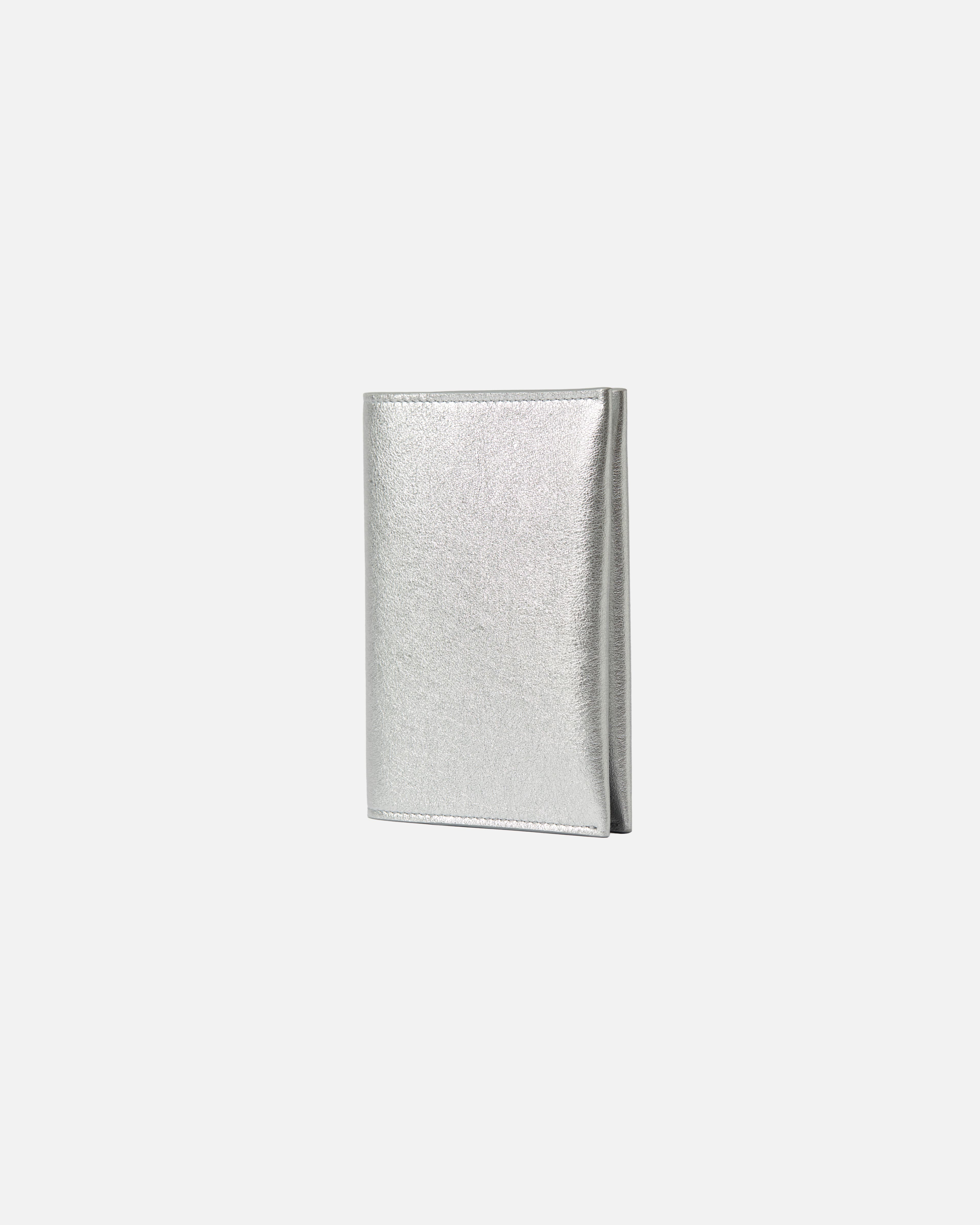 PASSPORT CASE SILVER