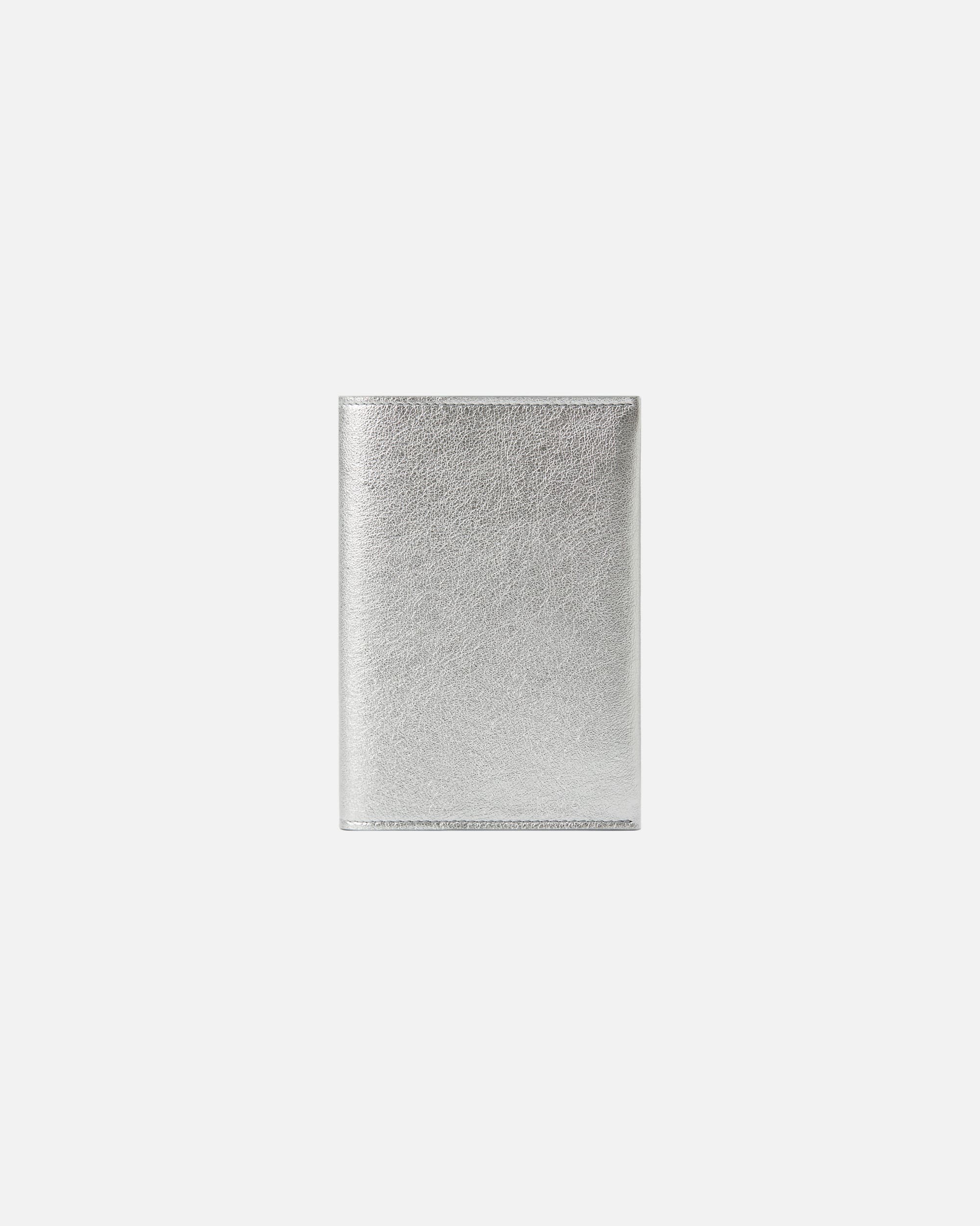 PASSPORT CASE SILVER